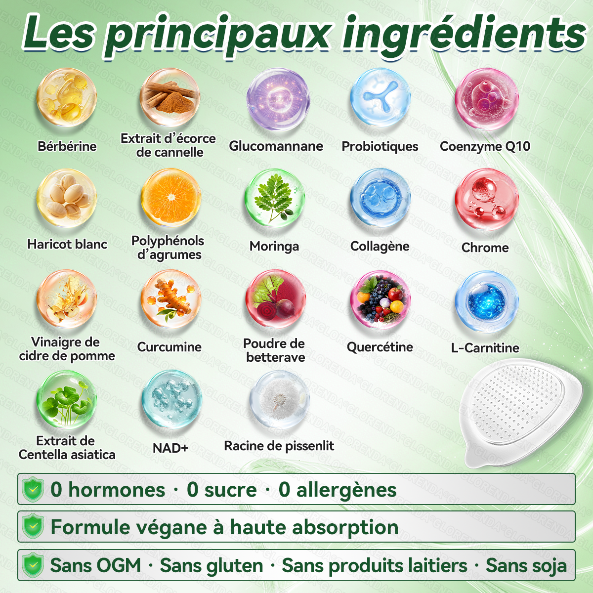 Boutique officielle 🫐🫐 𝐆𝐋𝐎𝐑𝐄𝐍𝐃𝐀® Moringa · Berbérine + NAD+ – Patch Microneedle Nano Avancé 10-en-1 (1×/jour, résultats visibles en 7 jours) | Obésité, relâchement cutané, apnée du sommeil, articulations, etc.