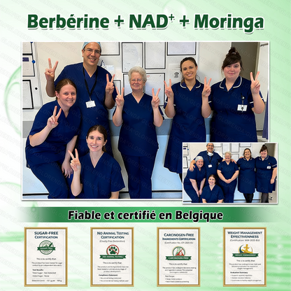 Boutique officielle 🫐🫐 𝐆𝐋𝐎𝐑𝐄𝐍𝐃𝐀® Moringa · Berbérine + NAD+ – Patch Microneedle Nano Avancé 10-en-1 (1×/jour, résultats visibles en 7 jours) | Obésité, relâchement cutané, apnée du sommeil, articulations, etc.