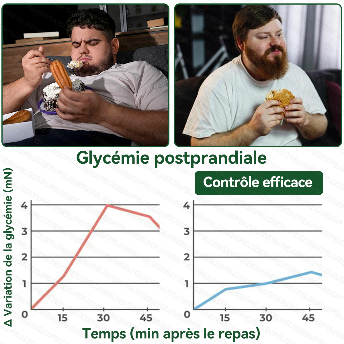Boutique officielle 🫐🫐 𝐆𝐋𝐎𝐑𝐄𝐍𝐃𝐀® Moringa · Berbérine + NAD+ – Patch Microneedle Nano Avancé 10-en-1 (1×/jour, résultats visibles en 7 jours) | Obésité, relâchement cutané, apnée du sommeil, articulations, etc.